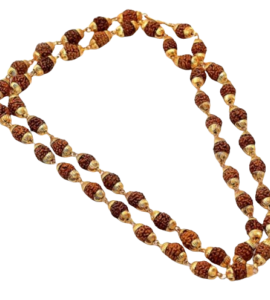 rudraksha